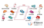 糖尿病治疗最新成果：干细胞移植疗法让患者或将免