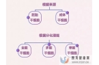 6大趋势告诉你,中国干细胞治疗在技术领域前景非