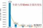 前沿医学！干细胞技术，有望从根本上治疗疾病、延